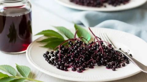 Finished plate of vibrant elderberry syrup, garnished with fresh berries and a mint sprig